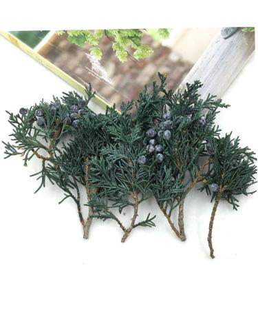 ABOOFAN 2 Pcs Pine Branch DIY Material Floral Boxes Wedding Decoration Christmas Pine Branches Household - Buy Online on SooperMarket.com