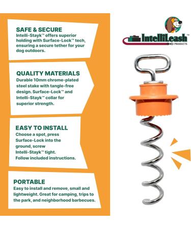 Intellileash Products Intelli-Stayk Dog Tie-Out Stake with Special Surface Lock Technology. Prevents Pulling Out and Bending. (Intelli-Stayk with Beast Dog Surface-Lock) - Buy Online on SooperMarket.com