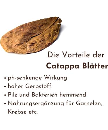 ProFlora Sea Almond Leaves | Organic Catappa Leaves for Aquariums | 12 XS Pieces (8 cm) - Natural Water Enhancer & Nutritional Supplement - Buy Online on SooperMarket.com