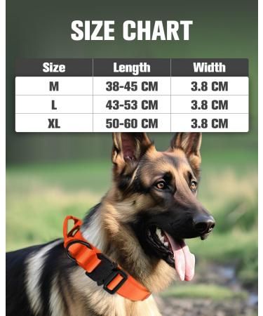Joytale Tactical Dog Collar for Large Dogs | Durable Orange Dog Collar with Handle & QR Code Tag | Shop Now! - Buy Online on SooperMarket.com