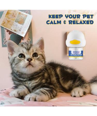 Cjztp Cat Calming Diffuser Enhanced Cat Pheromones Diffuser Starter Kit for 30 Days Supply Cat Anxiety Stress Relief to Reduce Fighting Scratching 48ml - Buy Online on SooperMarket.com