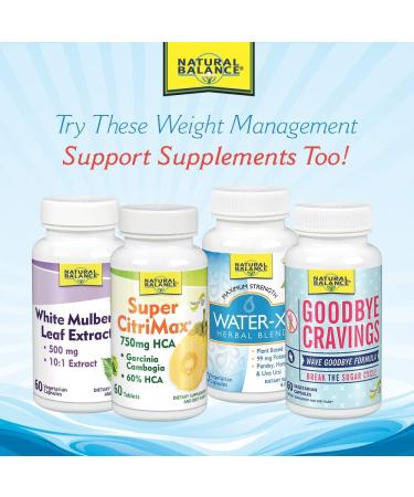 Natural Balance Super Chitosan 3000 - 120 Veg Capsules for Weight Management - Buy Online on SooperMarket.com