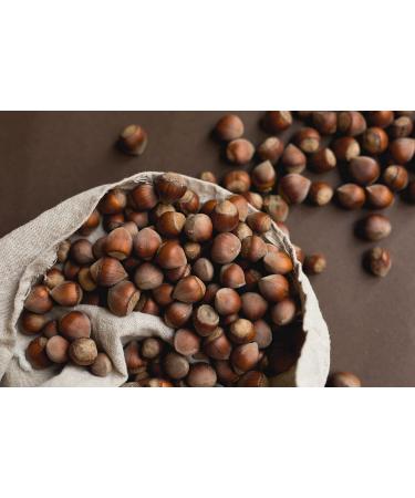Mynatura Organic Hazelnut Puree - Vegan Nut Butter Spread for Muesli & Baking (500g) - Buy Online on SooperMarket.com