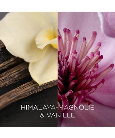 Botanica by Air Wick XL Candle - 90 Hours of Himalaya Magnolia & Vanilla Fragrance - Sustainably Made 500g in Glass - 1 Pack - Buy Online on SooperMarket.com