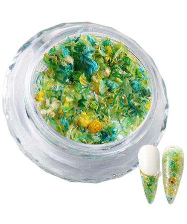 1Box 3D Dried Flower Nails Art Nail Accessories Elegant Nails Art Adornments Decoration Perfect For Nail Decoration Mixed Flowers For Nails Art S053C