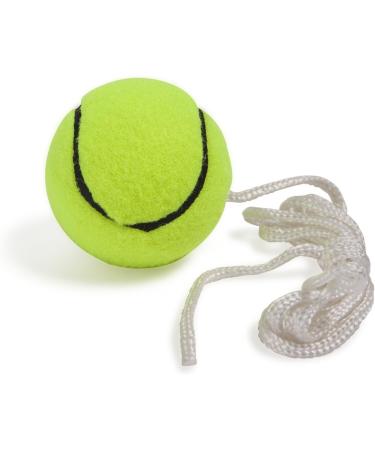 Champion Sports TTGAME Tetherball Tennis Swingball Outdoor Game for Kids & Adults - Backyard Tether Kit with Tennis Ball and Paddle Set - Buy Online on SooperMarket.com