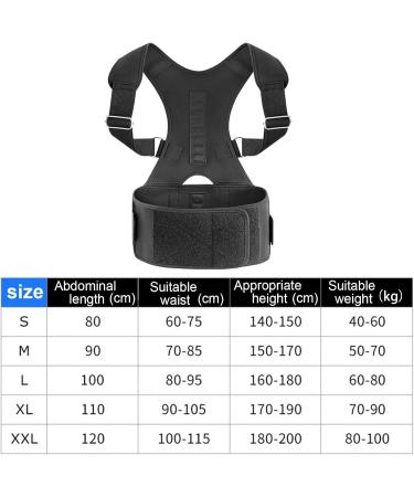 OIIBWQ Posture Belt for Improved Spinal Alignment M - Buy Online on SooperMarket.com