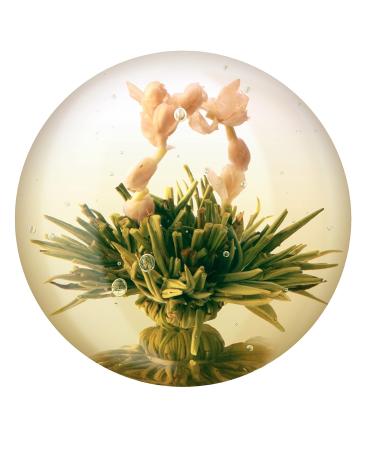 6 Tea Blower Gift Box - Blooming Green Tea Variations | Unique Gift for Birthdays Mother's Day & Christmas - Perfect for Tea Lovers - Buy Online on SooperMarket.com