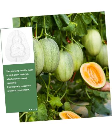 GANAZONO 12 Pcs Vegetable Mold Plastic Fruit Pumpkin for Fruits Mold Watermelon Strawberry 9x8cmx4pcs Transparentx4pcs - Buy Online on SooperMarket.com