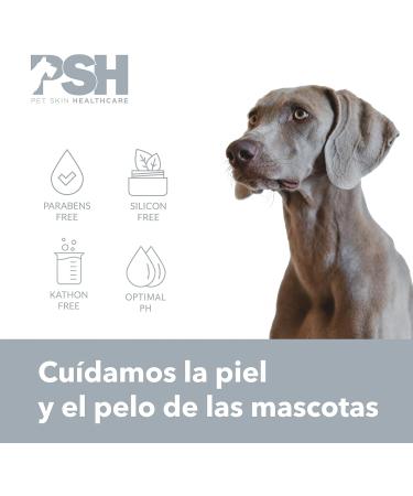 PSH Nose Balm for Dogs - Moisturizing Balm 100ml | Hydrate & Heal Dry Noses - Buy Online on SooperMarket.com