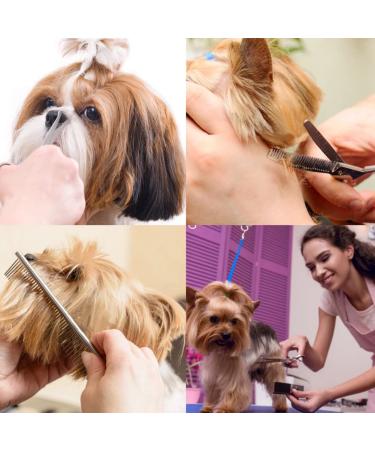 iSeaFly Dog Grooming Kit - 5 in 1 Heavy Duty Stainless Steel Scissors Set with Safety Round Tip - Best Pet Grooming Shears for Full Body Grooming - Buy Online on SooperMarket.com
