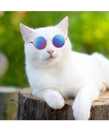 6-Piece Cat Sunglasses for Pets | Funny Retro Circular Eyewear for Small Dogs | Photos Props & Cosplay Glasses in Black & Mix Reflective Colors - Buy Online on SooperMarket.com