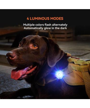 LaRoo Safety LED-Flashing Light for Dogs Cats LED-Light Pendant Keyring Clip on Dog Collar Charms Blinker Light Waterproof Safety Light for Walking the Dog and Outdoor Sports rechargable Purple-1 - Buy Online on SooperMarket.com