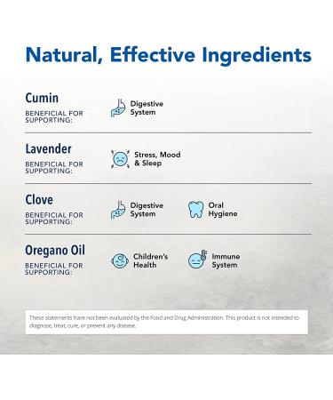 North American Herb & Spice OregaSpray - All-Natural Cleaner & Deodorizer - 4 oz - Non-GMO with Clove, Cumin, Lavender, Oregano - Buy Online on SooperMarket.com