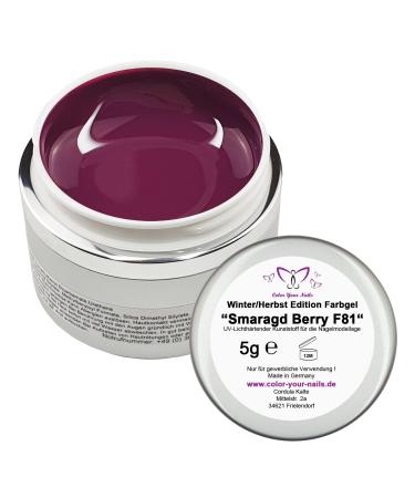 5g colour gel Emerald Berry UV gel made in Germany. Opaque. (Emerald Berry (FGMS81) Softline jar purple red