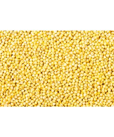 Buy 100% Gluten-Free Peeled Golden Millet (400g) | Premium International Shipping - Buy Online on SooperMarket.com