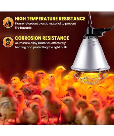 BrightArk 250W Poultry Heat Lamp with 2.5M Wire and 2M Hanging Chain - Energy Saving Switch, Livestock Breeding Brooder Lamp for Puppies, Chicks, Piglets, Reptiles (No Bulb) - Buy Online on SooperMarket.com