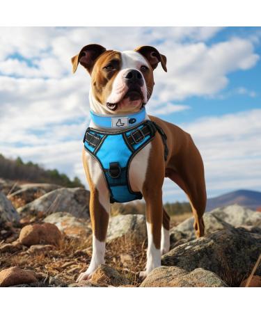 Joytale Softly Padded Neoprene Dog Collar for Large Dogs - Nylon Reflective Wide Collar in Baby Blue (Size L 1 Pack) - Buy Online on SooperMarket.com