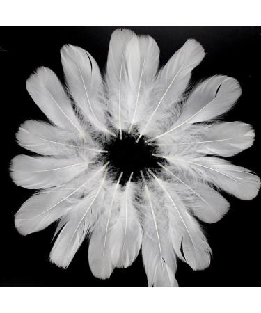Coceca 500pcs White Feathers - Ideal for DIY Craft, Wedding & Party Decor - Buy Online on SooperMarket.com