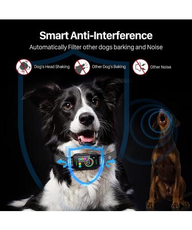 DINJOO Rechargeable Smart Bark Collar for Dogs - Adjustable Sensitivity Training Collar with Beep, Vibration, and Shock for Anti-Barking - Suitable for Large, Medium, Small Breeds - Black - Buy Online on SooperMarket.com