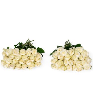 Benchmark Bouquets 50 White Roses Farm Direct (Fresh Cut Flowers)