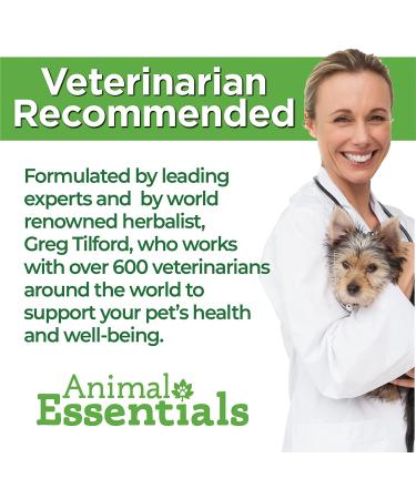 Animal Essentials Super Immune Support for Dogs & Cats - 1 fl oz | Promotes Healthy Immune System - Ol Complex - 2 fl oz - Buy Online on SooperMarket.com