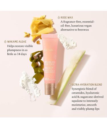 Biossance Squalane + Rose Vegan Lip Balm with Hyaluronic Acid and Ceramides - Moisturizing, Plumping, and Petroleum-Free (0.52 oz) - Buy Online on SooperMarket.com
