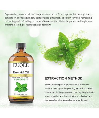 Peppermint essential oil (4 oz/118 ml) Pure Essential Oil - with Glass Dropper Great for Aromatherapy Diffuser Candle Making - Buy Online on SooperMarket.com