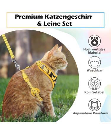 Supet Cat Dishes & Line Set - Perfect Feeding Solution for Kittens | International Shipping Available - Buy Online on SooperMarket.com