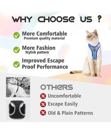 Supet Cat Dishes & Line Set - Perfect Feeding Solution for Kittens | International Shipping Available - Buy Online on SooperMarket.com
