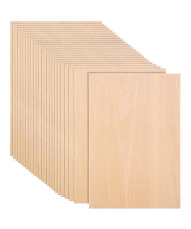 25 Pack 8 x 12 Inch Basswood Sheets 1/16 Thin Craft Plywood Sheets Plywood Board Thin Wood Board Sheets Unfinished Wood Boards for Crafts Hobby Model Making Wood Burning (200x300x2MM)