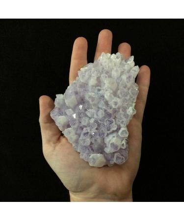 SQGCPGOQ Mexican Phantom Amethyst 11oz 170207 - Buy Online on SooperMarket.com