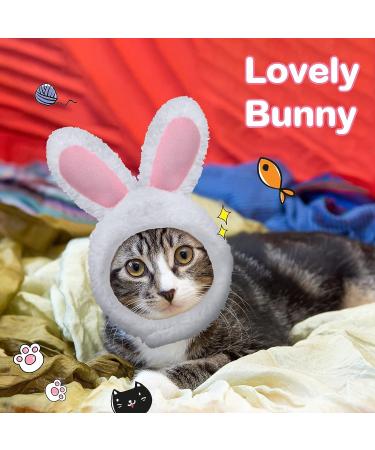 3 Piece Cat Costume Set with Adjustable Pet Headwear for Kitten and Dog Cosplay - Perfect for Halloween and Birthday Parties (Basic Style) - Buy Online on SooperMarket.com