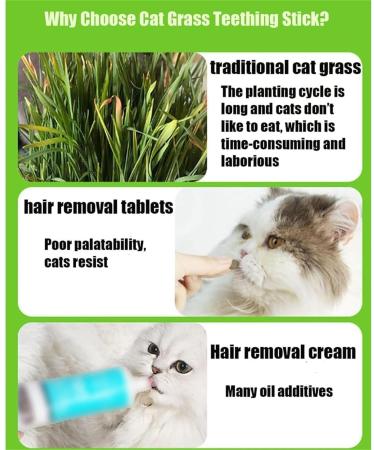 Berdexa Cat Grass Teething Sticks Verdexa Cat Grass Teething Sticks for Indoor Cats Cat Grass Chew Stick Cat Chew Stick Natural Molar Rod Increase Appetite (1Bucket) - Buy Online on SooperMarket.com
