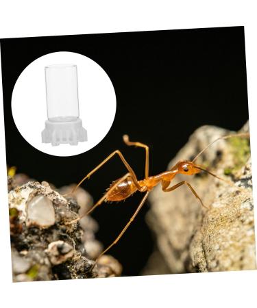 Yardwe Ant Water Dispenser - Ideal for Ant Nests & Feeding | 6.00x3.70x3.70cm | International Shipping - Buy Online on SooperMarket.com