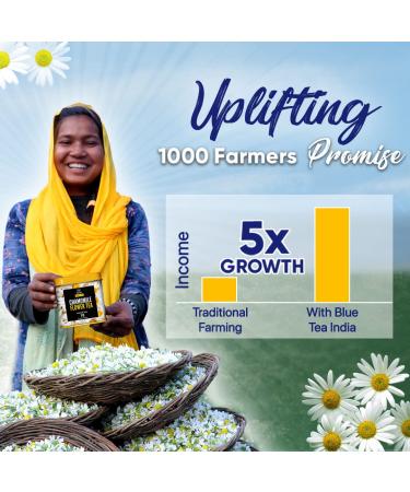 Blue Flower Tea Gift Set - 45 Assorted Tea Bags | Mother's Day Gift for Mom - 9 Flavors Flower Based Tea - Buy Online on SooperMarket.com