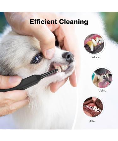 Dog Teeth Cleaning Tools with LED Light 3 Modes Dog Plaque Tartar Remover for Teeth Detachable Teeth Cleaning Kit for Dogs Cats Grey - Buy Online on SooperMarket.com