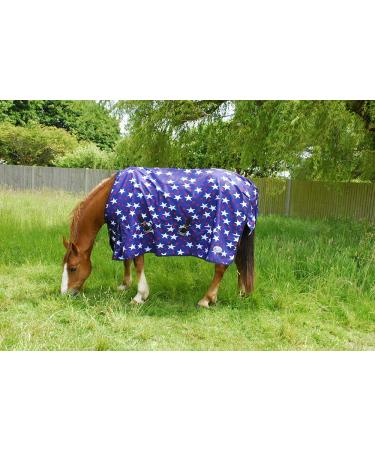 Rhinegold 0 Rhinegold Star Torrent Rug-lightweight No Fill Outdoor rug Star Design 6 3 UK 6'3" Star Design