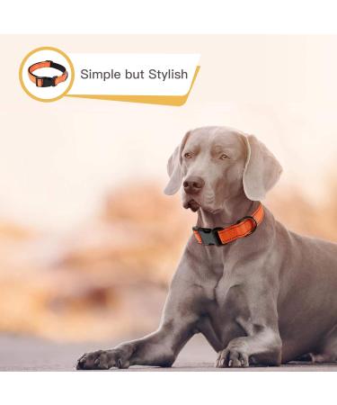 Heele Dog Collar - Soft Padded Neoprene Nylon Adjustable Reflective Collar for Small & Medium Dogs - Training Orange L (40-66 cm) - 1 Pack - Buy Online on SooperMarket.com