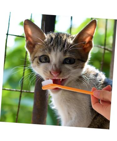BCOATH 10pcs Puppy for Cat Pets Small Supplies Portable Nylon Clean Tooth Pet Dual-head Dog Brush - Buy Online on SooperMarket.com