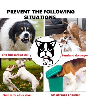 Best Dog Muzzle for Small & Medium Dogs - Prevent Biting Barking & Chewing | Breathable Nylon Design Soft Adjustable Fit - Buy Online on SooperMarket.com