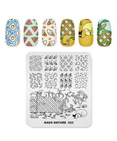 Nail Art Stamping Plates Image Template with Fruit and Vegetable Ice Cream Patterns for DIY Manicure Print Transfer Tools NA023