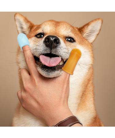 8pcs Pet Toothbrush Finger Dog Toothbrush Pet Two Finger Toothbrush Finger Brush for Dog Teeth Small Dog Toothbrush Silicone Wrap Two Finger Cat Toothbrush - Buy Online on SooperMarket.com