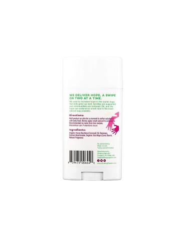 Stinkbug Naturals Raspberry Green Tea Organic Deodorant Stick | Aluminum Free, Coconut Oil & Essential Oils | 2.1 oz - Buy Online on SooperMarket.com