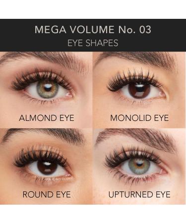Pro Lash Starter Kit - Soft & Comfortable Mega Volume Lash Extensions with Tweezers Pro Lock Adhesive & Remover - Lasts Up to 10 Days - Buy Online on SooperMarket.com