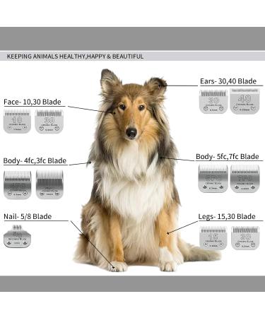 BESTBOMG 2 Pack Dog Grooming Replacement Blades Compatible with Heiniger/Moser Max45/Andis/Oster A5 Dog Clippers Size 40# 1/100" (0.25mm) Cutting Length 12 UK S - Buy Online on SooperMarket.com