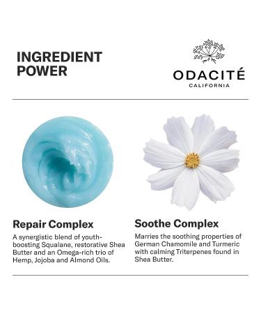 ODACITE Le-Blue Balm Repair Balm - Blue Chamomile & Shea Butter Face Moisturizer for Mature, Dry, or Sensitive Skin - Buy Online on SooperMarket.com