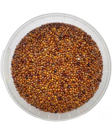 Red Quinoa - 100g - Buy Online on SooperMarket.com