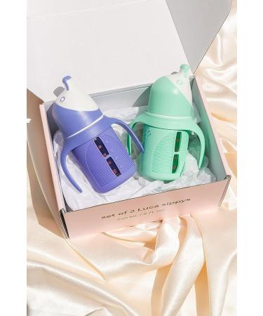 Glass Sippy Cup Set for Toddlers - 5oz - Spill-Proof Silicone Straw - Mint Green & Indigo Purple - BPA-Free - Buy Online on SooperMarket.com