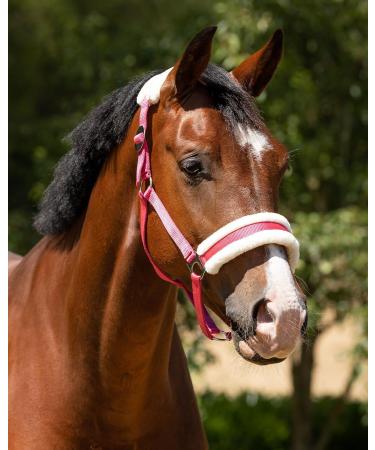 NETPROSHOP Solid Horse Halter - Padded Adjustable for Mini Shetty to Full & Coldblood - Pony Size Pink Color - International Shipping Available - Buy Online on SooperMarket.com